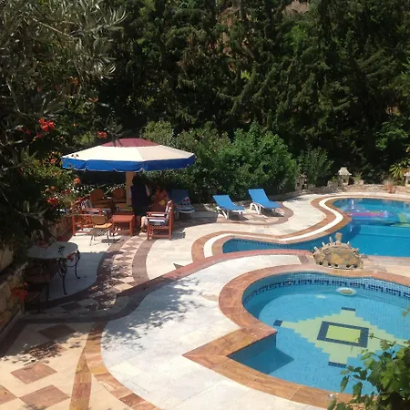 Symbola فندق