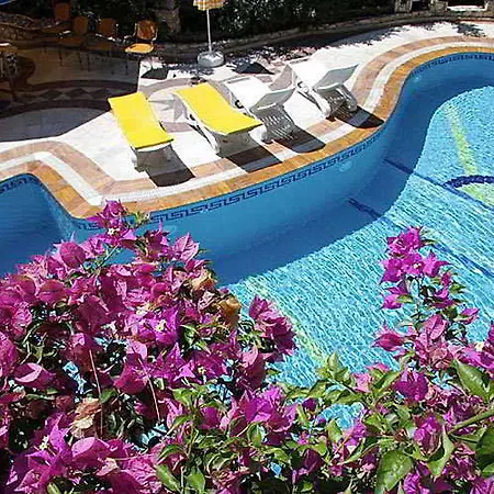 ホテル Symbola 3*